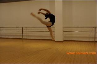 福建艺考舞蹈培训 福建艺考舞蹈时间 2013福建艺考舞蹈,福建艺考舞蹈培训 福建艺考舞蹈时间 2013福建艺考舞蹈生产厂家,福建艺考舞蹈培训 福建艺考舞蹈时间 2013福建艺考舞蹈价格