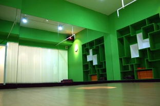 武汉美斯舞蹈培训中心图册