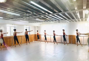 中秋刚过,润笙春芽舞蹈艺考班课程正在顺利进行中
