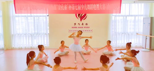 马龙区梦飞舞蹈培训中心积极备战 金孔雀 杯第七届少儿舞蹈电视大赛