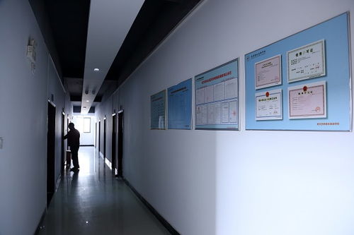 武汉艺林音乐学校好不好 艺林音乐学校怎么样 淘学培训