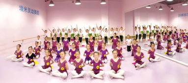 江苏昆山考区丨埃米灵动舞蹈艺术培训中心学生考级精彩回顾