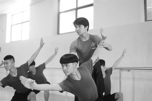 艺考舞蹈培训机构哪家好,青苑艺术一站式艺考教学