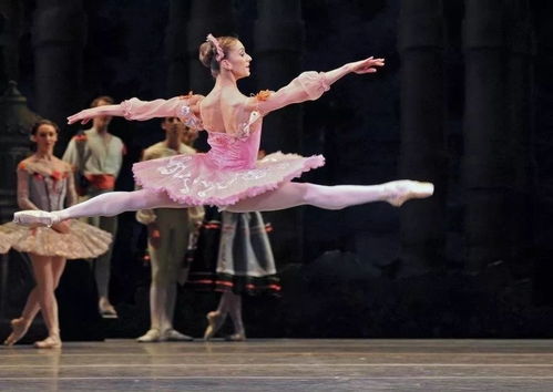 拥有这8项基本功,艺考生的你就赢了一半了