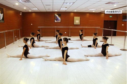 Og国际舞蹈培训中心 专业舞蹈艺考培训的首选