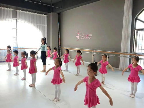 舞之韵舞蹈培训中心给全州人民拜年啦！