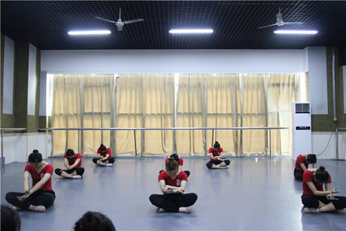 聊城舞蹈复读艺考新选择 走进艺琳苑舞蹈艺考培训中心